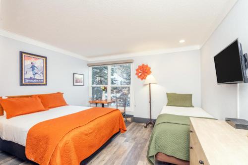 Telluride Hotel | Mountainside Inn 103 by Alpine Lodging Telluride