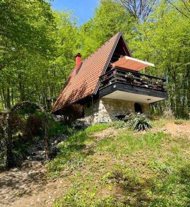 Generalski Stol Ski Chalet | Mrežnički doživljaj