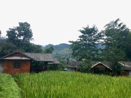 Ban Luang House | Mukakee 3-4