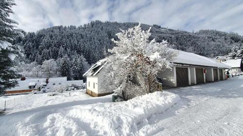 Murau Apartment | Murzeit Dritte