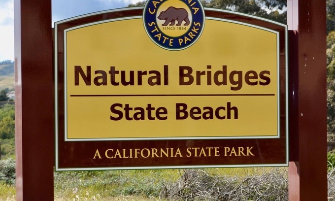Westside Santa Cruz House | Natural Bridges BIG Beach House walk to cafes, bars, food, & BEACH