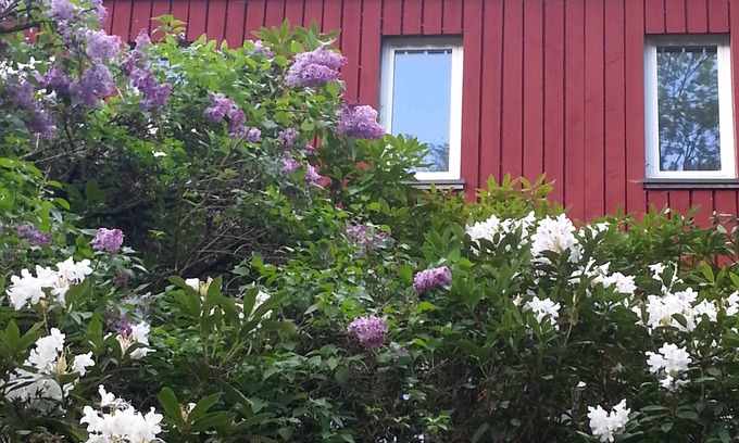 Bad Sachsa House | Natural idyll on the edge of the forest - family-friendly and quiet