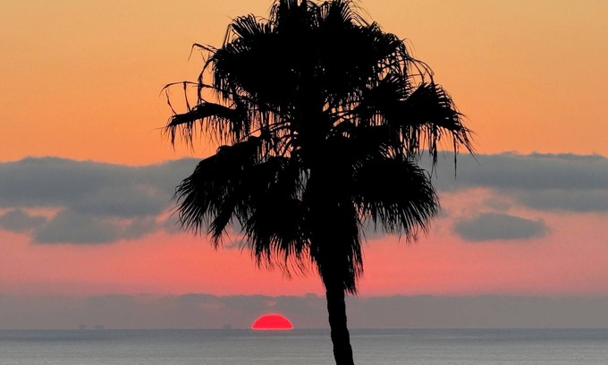 South Laguna Apartment | NEW Gorgeous Studio w AC in Laguna Beach near 1000 Steps