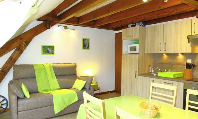 La Bresse Apartment | Nice apartment 2/5 pers, OCT: €230/week (owner).