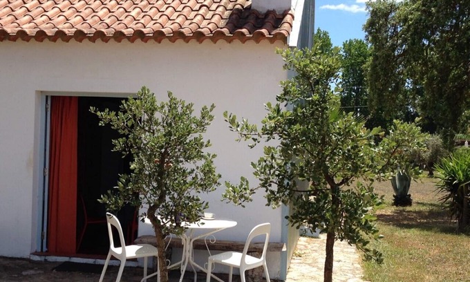 Santiago do Cacem Cottage | Nice country studio for 2-4p., shared pool, countryside&beach (20 km)