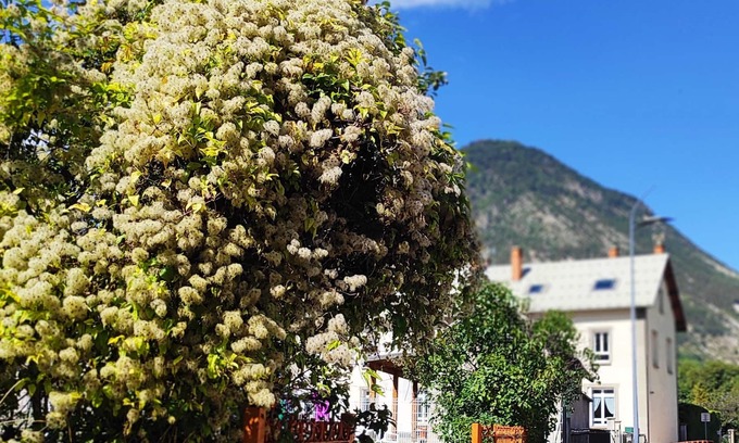 LʼArgentiere-la-Bessee Apartment | Nice little apartment under the roof of a former school
