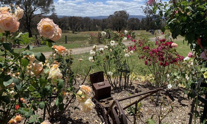 O'connell House | No longer listing property: Do not book. We need to honour current bookings.