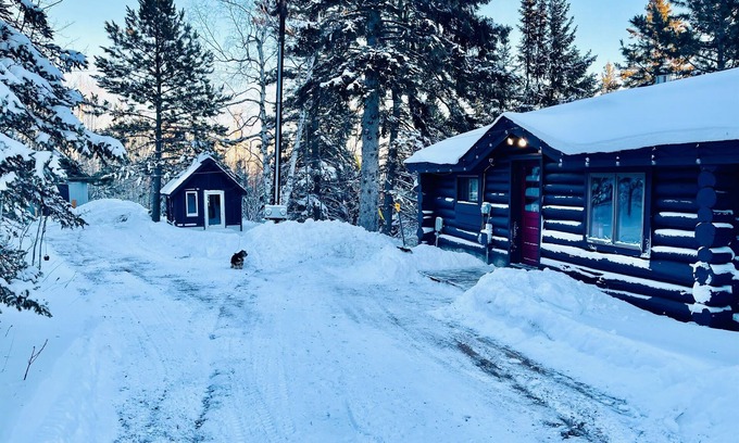 Schroeder Cabin | North Shore Tiny Log Cabin Retreat