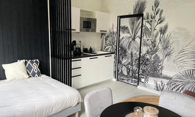 Chasseneuil-du-Poitou Apartment | Nouveau Studio Oasis