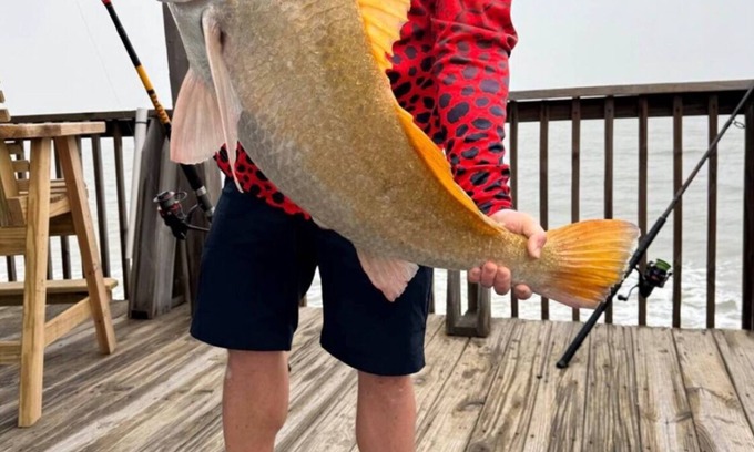 San Luis House | Ocean front 3-bed 2 bath house. Fish right from the deck! Gorgeous Sunrises 🌅