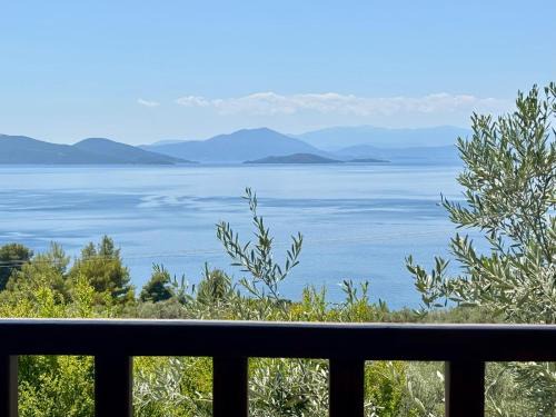 Kalamos Villa | Olive Grove House