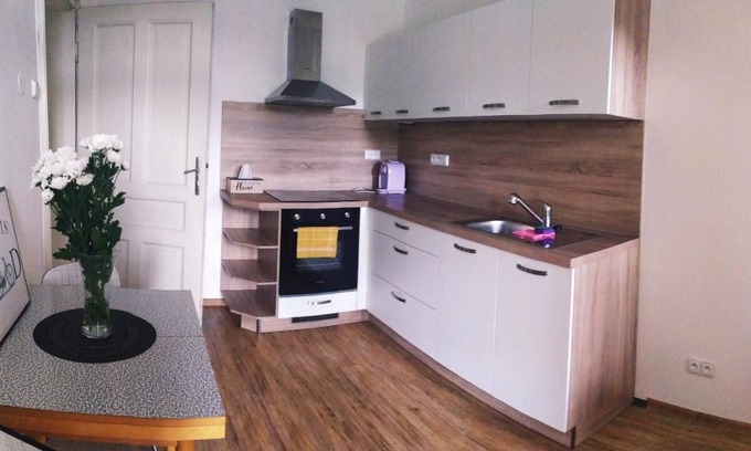 Olomouc Apartment | Olomouc apartment Pavlovičky