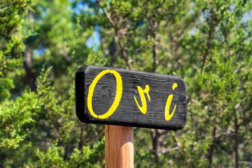 Fredericksburg Cabin | Ori Treehouse Lux Hot tub Fredericksburg Tesla EV
