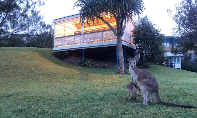 Point Lookout House | Original cottage situated opposite the entrance to the Gorge Walk.