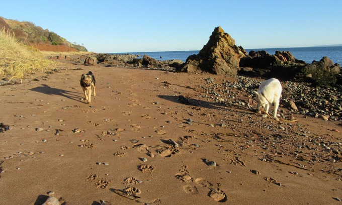 Fortrose Cottage | Osprey, Longhouse Cottages