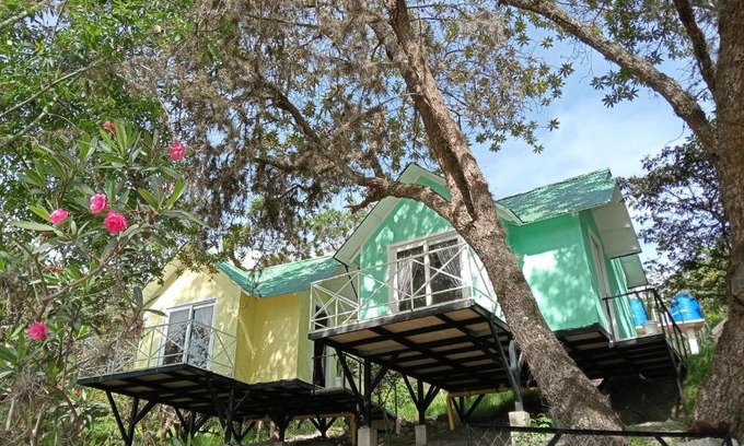 Soata Other | PALO ALTO Soatá