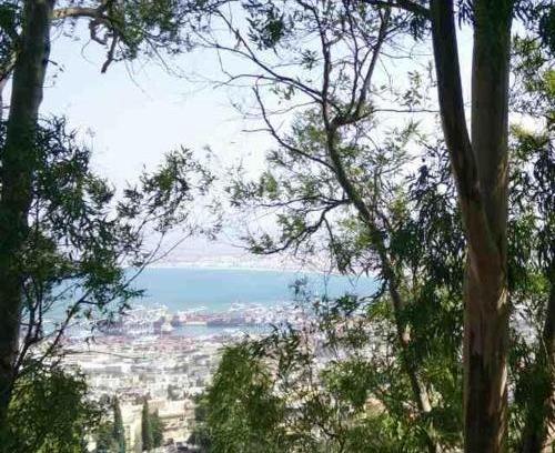 Haifa Apartment | Panorama View Suite Carmel Center