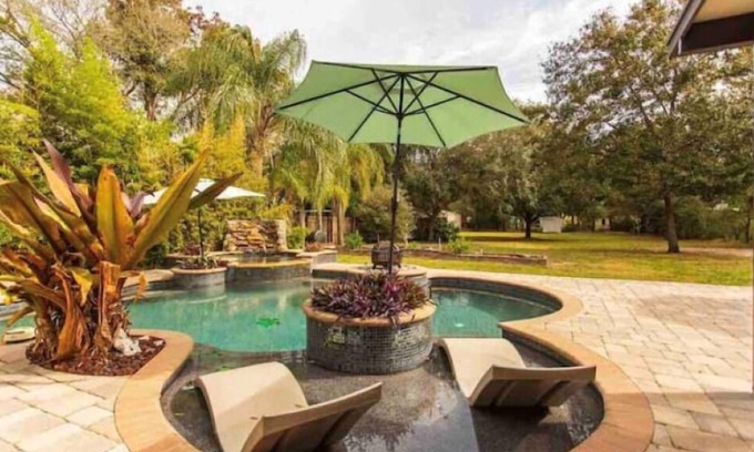 Terrace Park House | Paradise! in Tampa, Pool, water fall, 3 min form Bush Garden, Adventure Island