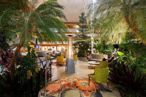 Dickson Hotel | Pavilion On Northbourne
