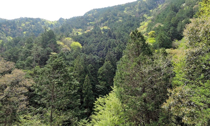 Shinshiro House | pension AKA-TOMBO