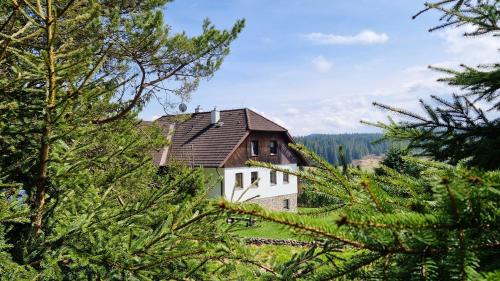 Horska Kvilda House | Pension Helena Honesová