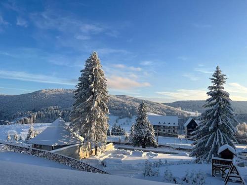 Desesti House | Pensiunea Mountain Pearl