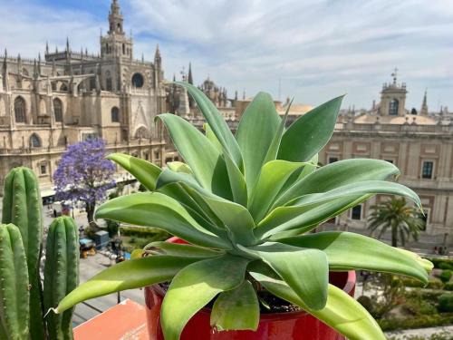 El Arenal Apartment | Penthouse in front Giralda
