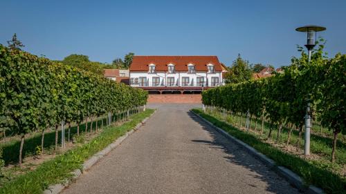 Boretice House | Penzion pod Kraví horou