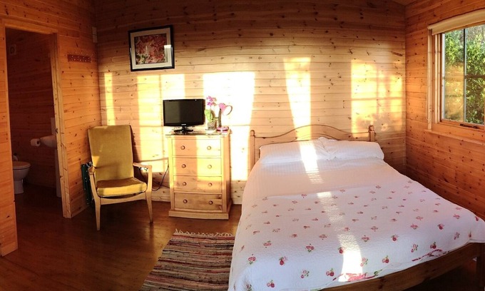 Burgh Island Cabin | Pine Lodge With Spectacular Sea Views And Sunsets The Perfect Romantic Get-Away