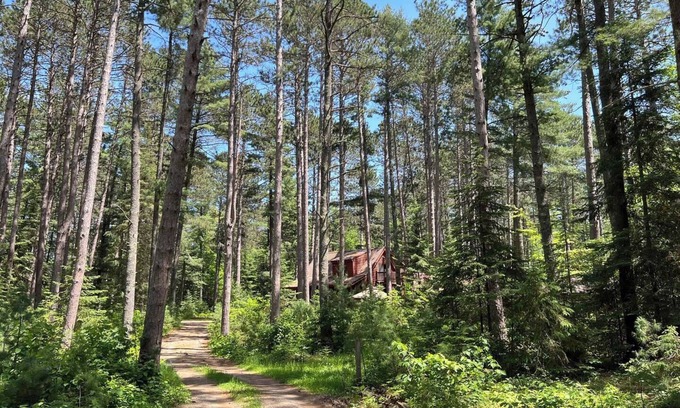 Ely Cabin | PINEY WOODS RETREAT in ELY, MINNESOTA