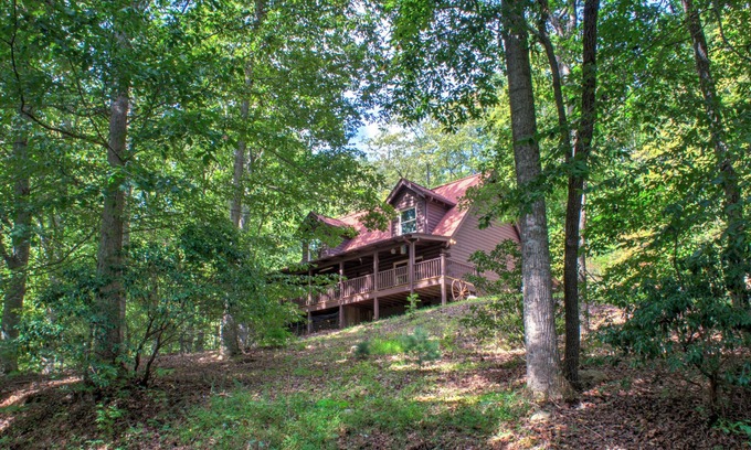 Arden Cabin | Pisgah Pines | Cozy Log Cabin w/Hot Tub & Fire Pit Near Asheville Airport