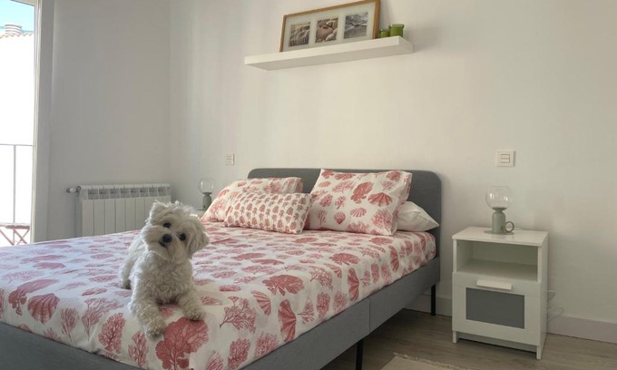 Zamora Apartment | Plata 2