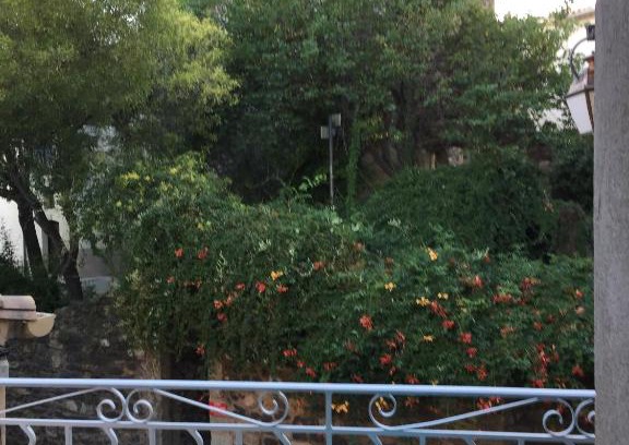 Nizas House | Plein Sud : jolie maison dans village pittoresque de l'Hérault.
