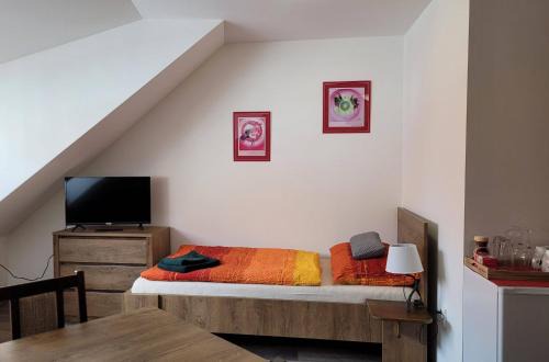 Trebon Apartment | Podkrovní garsonka