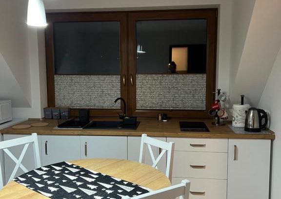 Zywiec Apartment | Pokój z aneksem kuchennym