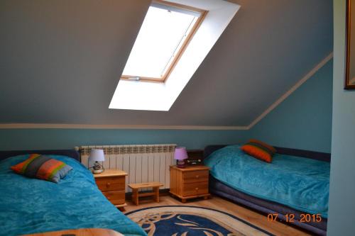 Kamieniec Zabkowicki House | Pokoje Gościnne Na Skraju Lasu
