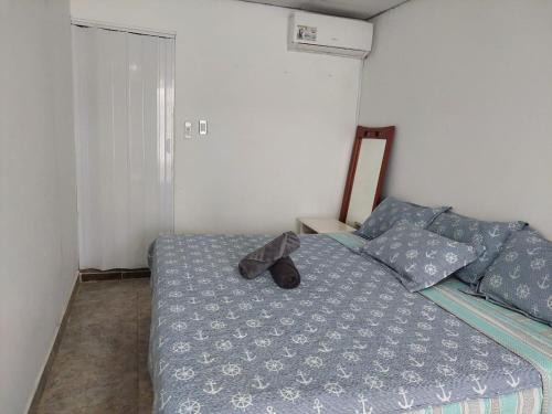 San Luis Apartment | Posada Coco Down Town
