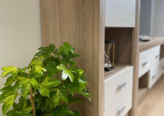 Lugo Apartment | Pote