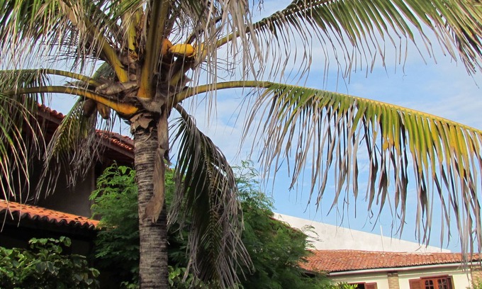 Canoa Quebrada Hotel | Pousada California