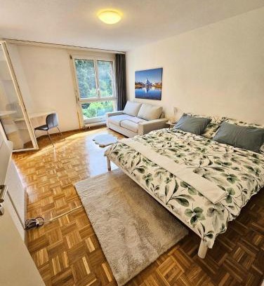 Lucerne Apartment | Premium Apartment mit Pilatus Sicht