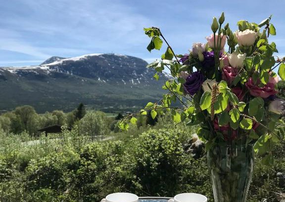 Oppdal Apartment | Private apartments!Oppdal Alpintun, Skisenter-Stølen