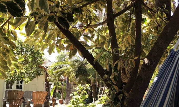 Encinitas House | Private guest house within gated property, outdoor garden seating