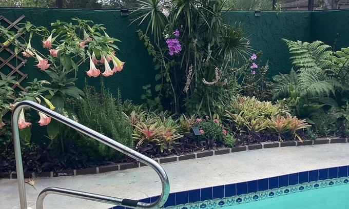 Fruitville House | Private home with beautiful pool, ping pong, darts, close to beach and downtown.