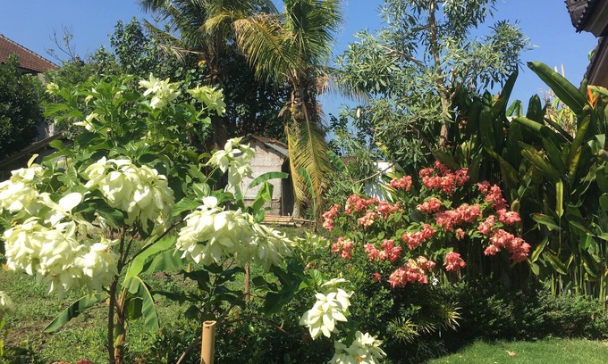Penestanan House | PrivateTraditional Bali Bungalow with large pool and beautiful garden