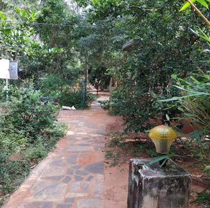 Bommayapalayam House | Purity guesthouse