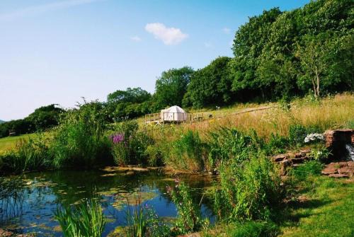 Cheddar Other | Quantock View Glamping Tent