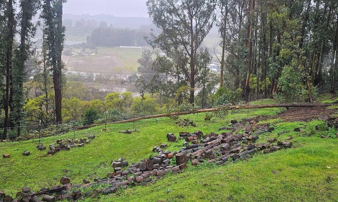 Prunedale Apartment | Quiet Country 1-bedroom apartment in Royal Oaks with beautiful views