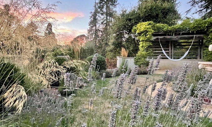 Upper Rockridge Apartment | Quiet, Elegant Apartment With Beautiful Views & Terraced Gardens