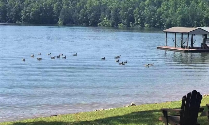 Smith Mountain Lake House | Quiet Family/Pet Lakeside Stay - Flat Lot!