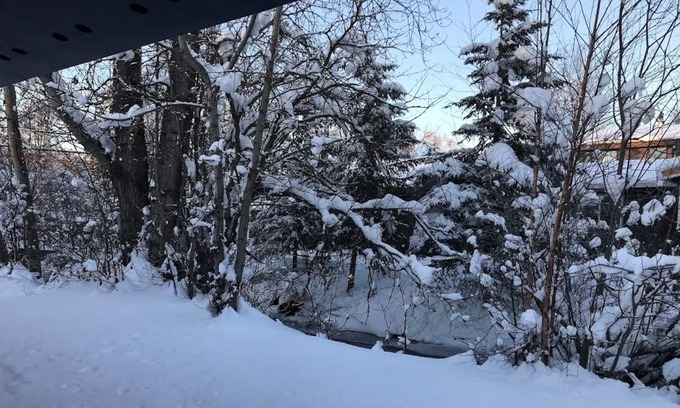 Northeast Anchorage House | Quiet Gem, right on a creek. Newley Renovated.